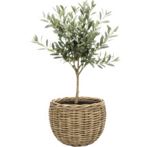 Košík na sadenie Leah Sanur z prírodných vlákien Ø 40 cm V 30 cm sivohnedý vrátane fólie na kvetináč