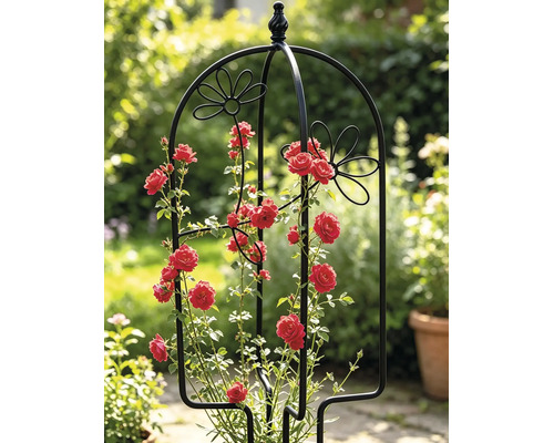 Mreža na popínavé rastliny do kvetináča Lafiora kvetina 26 x 61 cm čierna