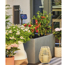 Zavlažovací počítač Gardena pripojený k vodovodnému kohútiku na terase s kvetináčmi a zeleninou.