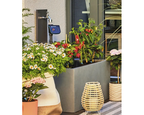 Zavlažovací počítač Gardena pripojený k vodovodnému kohútiku na terase s kvetináčmi a zeleninou.