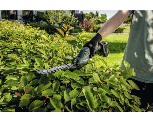 Akumulátorové nožnice na živý plot v akcii pri strihaní živého plota