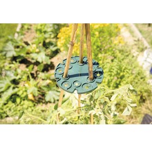 Držiak bambusovej tyče používaný v záhrade na podporu rastlín