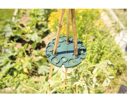 Držiak bambusovej tyče používaný v záhrade na podporu rastlín