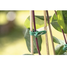 Spona na rastliny na pripevnenie k tyčiam na rastliny