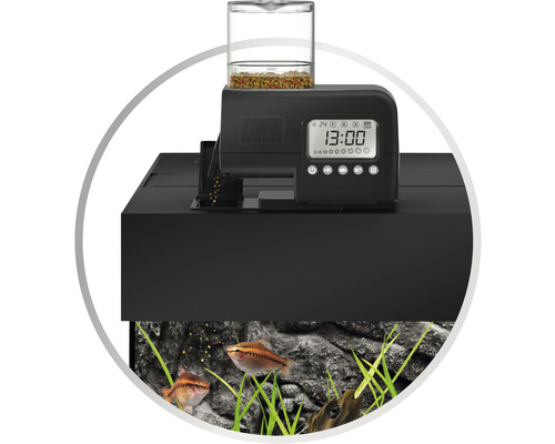 Akvárium s automatickým krmítkom na automatické kŕmenie rýb