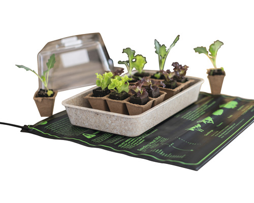 Sada na pestovanie s vyhrievacou podložkou, kvetináčmi a priehľadným vekom na pestovanie rastlín.