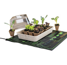 Súprava na pestovanie rastlín s rastlinami, sadbovačom, priehľadným vekom a vyhrievacou podložkou