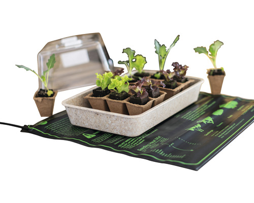 Súprava na pestovanie rastlín s rastlinami, sadbovačom, priehľadným vekom a vyhrievacou podložkou