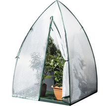 Malý skleník s rastlinami