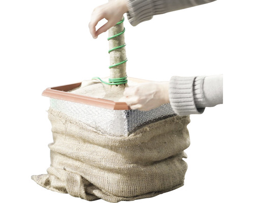 Upevnenie kmeňa stromu do kvetináča s jutou