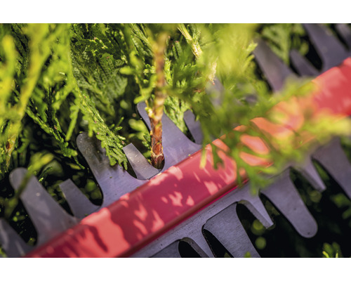 Nožnice na živý plot pri strihaní živého plota