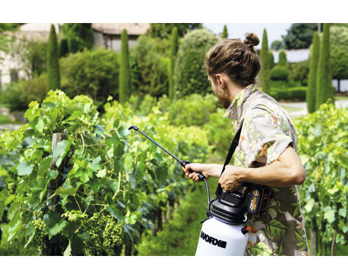 Muž používa akumulátorový tlakový postrekovač Worx vo vinici.