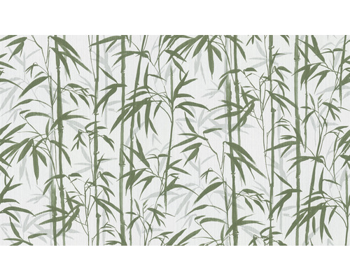 Tapeta so vzorom bambusu