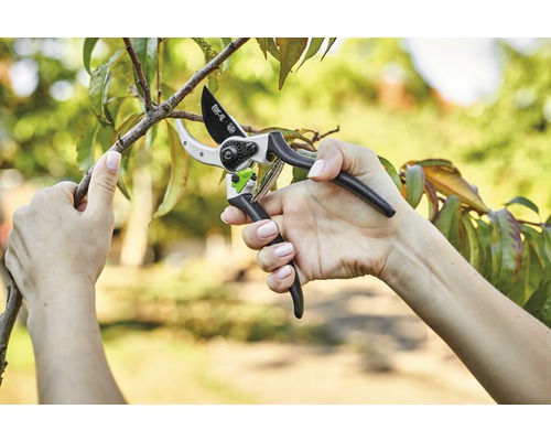 Osoba strihá vetvu záhradnými nožnicami.