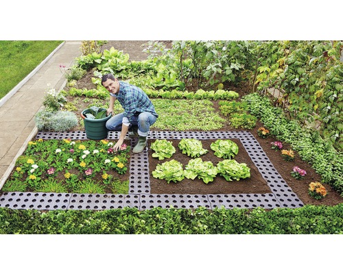 Muž sadí kvety a šalát v záhrade s obrubou záhonu