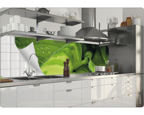Kuchynská scéna s pracovnou doskou, drezom, batériou a ochranou proti striekajúcej vode s rastlinným motívom