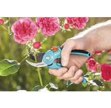 Záhradné nožnice strihajú stonku ruže, držané rukou. Logo Gardena.