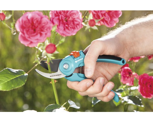 Záhradné nožnice strihajú stonku ruže, držané rukou. Logo Gardena.