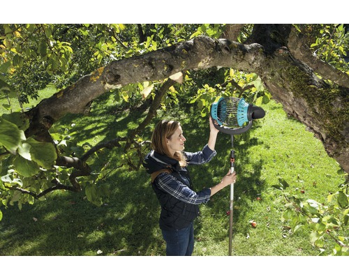 Žena zbiera ovocie pomocou zberača ovocia na strome v záhrade