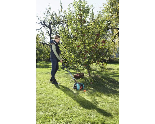 Žena zbiera jablká zberačom jabĺk v záhrade.