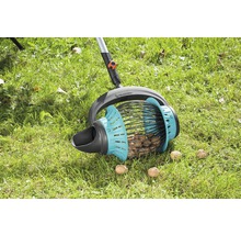 Zber vlašských orechov so zberačom vlašských orechov na trávniku.