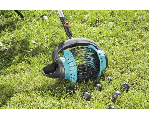 Zberač ovocia Gardena v prevádzke na trávniku so slivkami.