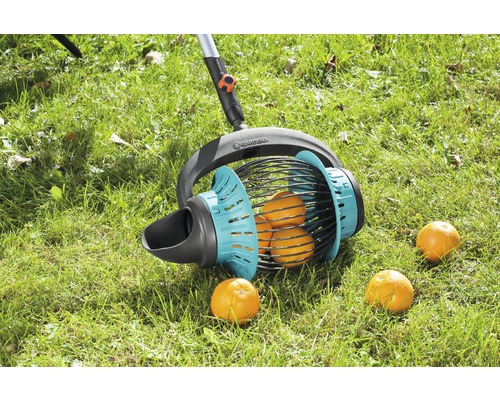 Zberač ovocia Gardena na trávniku s pomarančami