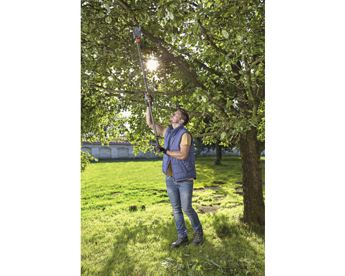 Muž strihá konáre stromu v záhrade teleskopickými nožnicami na konáre.