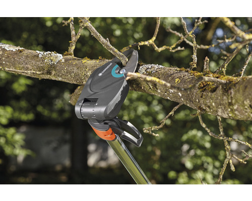 Záhradné nožnice strihajú konár