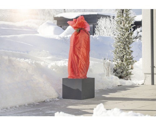 Rastlina v kvetináči so zimnou ochranou v zasneženom prostredí