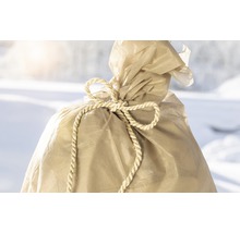 Rastlina zabalená v jutovej tkanine so stuhou