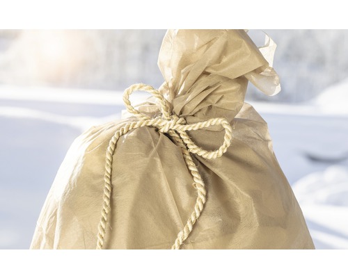 Rastlina zabalená v jutovej tkanine so stuhou