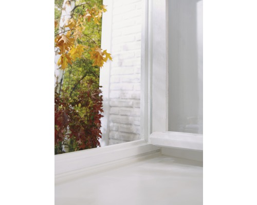 Detailný pohľad na biele okno s výhľadom na jesennú záhradu