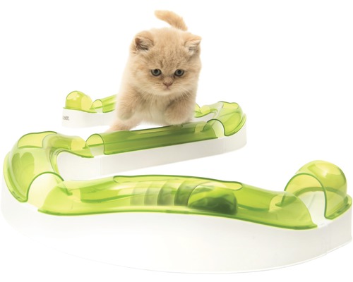 Mačka sa hrá s hračkou pre mačky