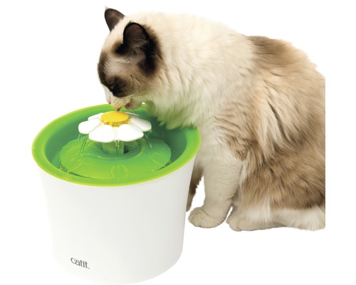 Mačka pije z fontány s kvetinovým nadstavcom