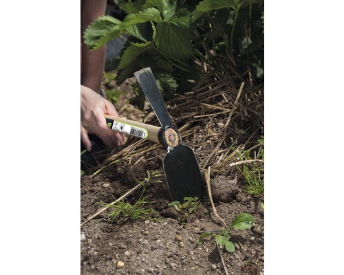 Záhradná motyka s drevenou rukoväťou používaná na záhradníctvo.