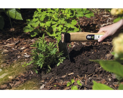 Záhradná motyka s drevenou rukoväťou používaná na zasadenie do zeme