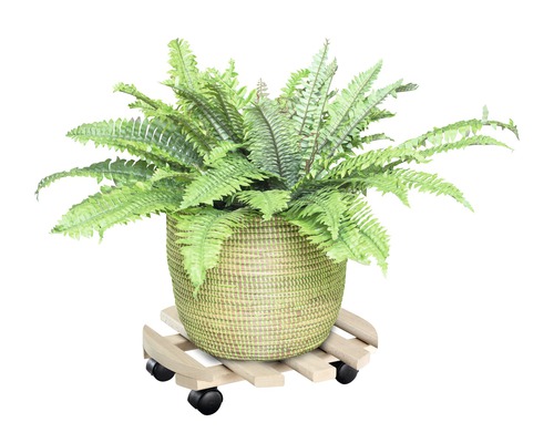 Črepníková rastlina v košíku na kolieskach pod kvetináč