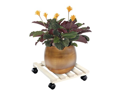 Kvitnúca izbová rastlina v kvetináči na vozíku na rastliny