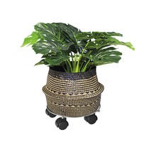 Rastlina Monstera v košíkovom kvetináči na kolieskach