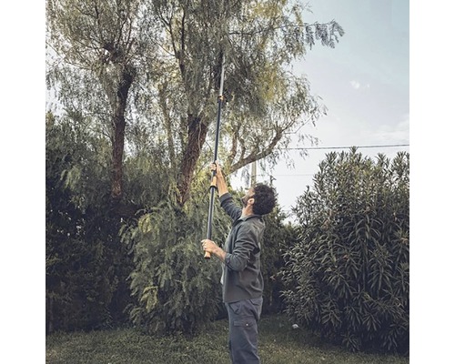 Osoba používa teleskopické nožnice na konáre v záhrade na orezávanie konárov stromu.