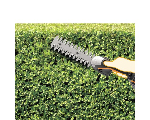 Nožnice na živý plot v akcii pri strihaní živého plota