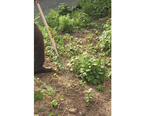 Záhradník používa rýľové vidly v záhrade.