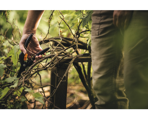 Osoba používa záhradné nožnice na strihanie konárov.