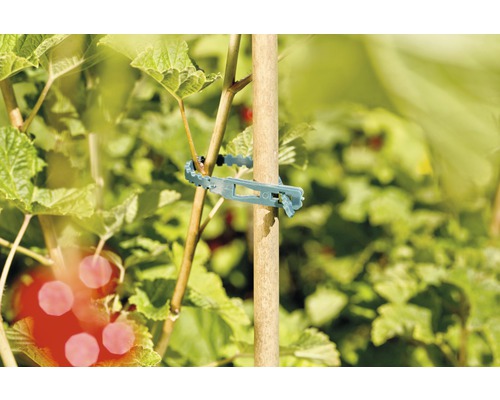 Viazacia páska na rastliny na pripevnenie rastliny k drevenej tyči