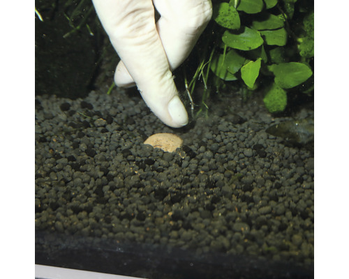 Dno akvária s hnojivými guľôčkami a rukou