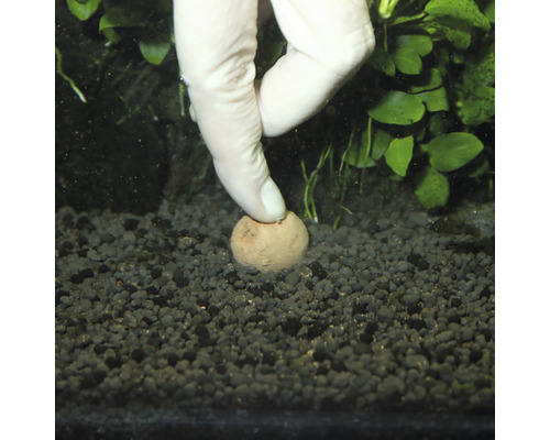 Ruka umiestňuje hnojivú guľôčku do štrku v akváriu