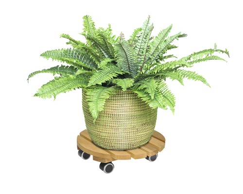 Izbová rastlina v prútenom kvetináči na drevenom vozíku na kvetináče