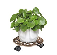 Čínsky peňažný strom v kvetináči na kolieskovom podstavci pod kvetináč