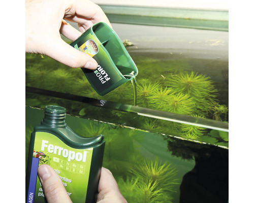 Osoba pridáva tekutinu z fľaše Ferropol s odmerkou do akvária